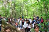 Promenons nous dans les bois 34 * 5184 x 3456 * (12.3MB)